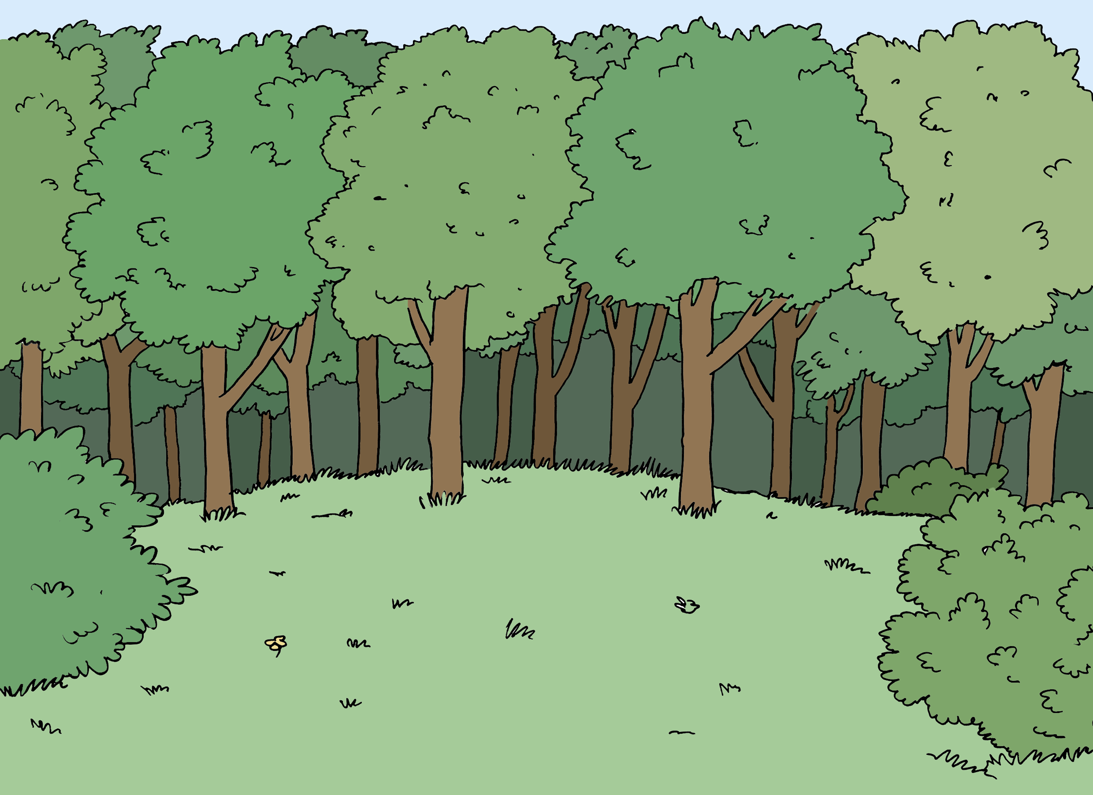 Ein Laubwald