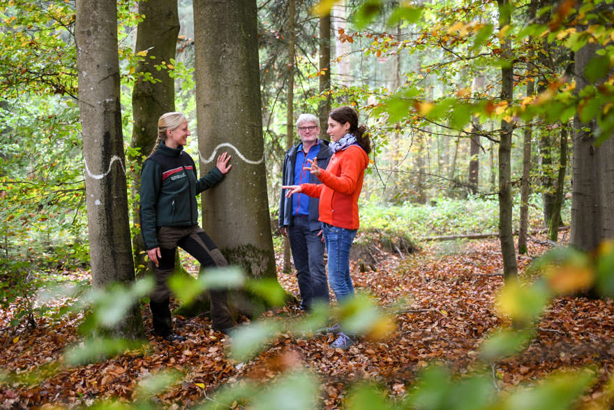 Försterin und zwei Waldbesitzenden bei einem Biotopbaum zur Beratung